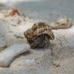 Seszele / Przemysław Wiktorczyk