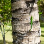 Seszele / Przemysław Wiktorczyk