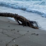 Seszele / Przemysław Wiktorczyk