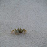 Seszele / Przemysław Wiktorczyk