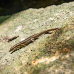 Seszele / Przemysław Wiktorczyk