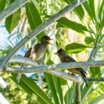 Seszele / Przemysław Wiktorczyk