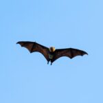 Seszele / Przemysław Wiktorczyk