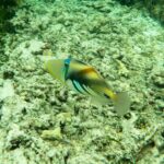 Seszele / Przemysław Wiktorczyk