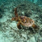 Seszele / Przemysław Wiktorczyk