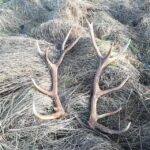 05.02.2022. Poroża / Grzegorz Marciniak/Facebook