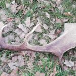 05.02.2022. Poroża / Grzegorz Marciniak/Facebook