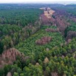 18.02.2022. Henryków. Okolice gajówki gdzie rozbite zostało zgrupowanie bojówek AL i sowieckiego wywiadu / Jarosław Kubalski / Radio Kielce