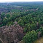 18.02.2022. Henryków. Okolice gajówki gdzie rozbite zostało zgrupowanie bojówek AL i sowieckiego wywiadu / Jarosław Kubalski / Radio Kielce