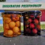 Dwikozy. Inkubator przetwórczy / Ośrodek Promowania Przedsiębiorczości