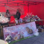 13.02.2022. Sandomierz, Kiermasz walentynkowy / Grażyna Szlęzak-Wójcik / Radio Kielce