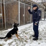 02.02.2022. Końskie. Na zdjęciu: sierż. szt. Kamilem Kotwicą, Baki - policyjny pies / Magdalena Galas-Klusek / Radio Kielce