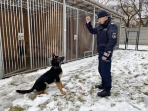 02.02.2022. Końskie. Na zdjęciu: sierż. szt. Kamilem Kotwicą, Baki - policyjny pies / Magdalena Galas-Klusek / Radio Kielce