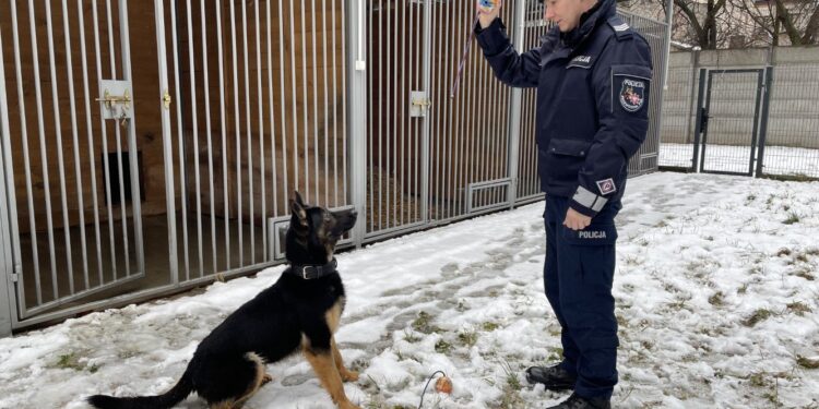 02.02.2022. Końskie. Na zdjęciu: sierż. szt. Kamilem Kotwicą, Baki - policyjny pies / Magdalena Galas-Klusek / Radio Kielce