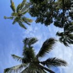 Muzyczne podróże. Floryda / Joanna Dąbek