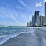 Muzyczne podróże. Floryda / Joanna Dąbek