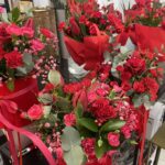 Róże / Monika Miller / Radio Kielce