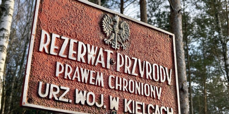 W regionie powstaną nowe rezerwaty przyrody