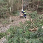 19.02.2022. Skutki wichury w regionie / KP PSP Skarżysko