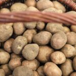 21.02.2022 Kielce. Dworek Laszczyków. Wystawa "Obraz codzienności, codzienność w obrazie. Fragmenty z życia na wsi w sztuce ludowej" / Jarosław Kubalski / Radio Kielce