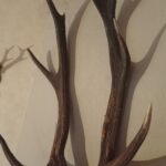 05.02.2022. Poroża / Łukasz Ringo Nowak/Facebook