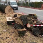 17.02.2022. Kielce. Ulica Turystyczna. Wycięty dąb / Wiktor Taszłow / Radio Kielce