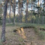 13.02.2022. Rząbiec. Nielegalne upamiętnienie wydarzeń z fałszywą treścią / Dionizy Krawczyński / Radio Kielce