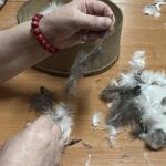 19.02.2022. Nietulisko Duże. Darcie pierza w wykonaniu KGW Kalina / Emilia Sitarska / Radio Kielce