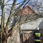 19.02.2022. Skutki wichury w województwie / OSP Ambrożów