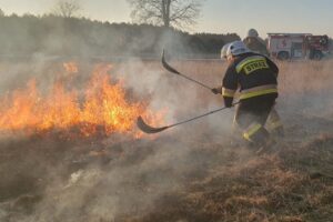 pożar traw / OSP KSRG Ruda Maleniecka