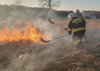 pożar traw / OSP KSRG Ruda Maleniecka