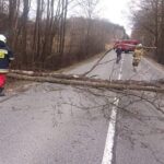 19.02.2022. Skutki wichury w województwie / OSP Ociesęki
