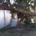 19.02.2022. Skutki wichury w województwie / OSP Starachowice