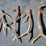 05.02.2022. Poroża / Paweł Stańczak/Facebook