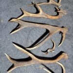 05.02.2022. Poroża / Paweł Stańczak/Facebook