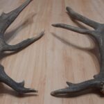 05.02.2022. Poroża / Piotr Kozak/Facebook