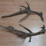 05.02.2022. Poroża / Piotr Kozak/Facebook