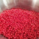 Dwikozy. Inkubator przetwórczy / Ośrodek Promowania Przedsiębiorczości