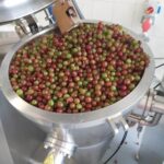 Dwikozy. Inkubator przetwórczy / Ośrodek Promowania Przedsiębiorczości