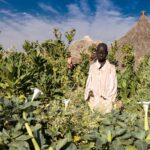 Sudan Południowy / Mirosław Lubarski