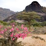 Sudan Południowy / Mirosław Lubarski