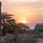 Sudan Południowy / Mirosław Lubarski