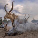 Sudan Południowy / Mirosław Lubarski