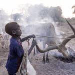 Sudan Południowy / Mirosław Lubarski