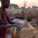 Sudan Południowy / Picasa / Mirosław Lubarski