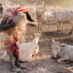 Sudan Południowy / Mirosław Lubarski