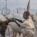 Sudan Południowy / Mirosław Lubarski