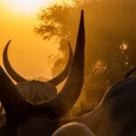 Sudan Południowy / Mirosław Lubarski