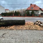 17.02.2022. Kielce. Ulica Turystyczna. Wycięty dąb / Wiktor Taszłow / Radio Kielce