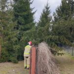 19.02.2022. Skutki wichury w regionie / KP PSP Skarżysko